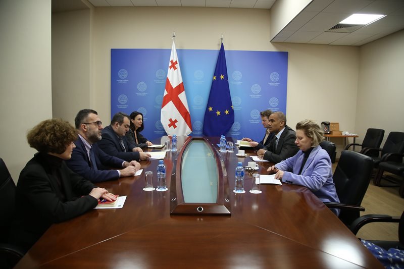 საგარეო საქმეთა მინისტრის პირველი მოადგილის შეხვედრა ევროპის საბჭოს დელეგაციის წევრებთან