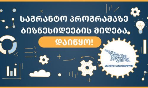 მიკრო და მცირე მეწარმეობის საგრანტო პროგრამაზე ბიზნესიდეების მიღება დაიწყო