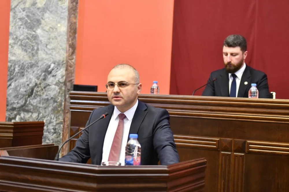 იუსტიციის მინისტრის მოადგილემ საქართველოს პარლამენტს სტრასბურგის სასამართლოს გადაწყვეტილებების თაობაზე ანგარიში წარუდგინა